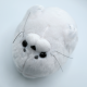 Kawaii: Seal mascot keychain White